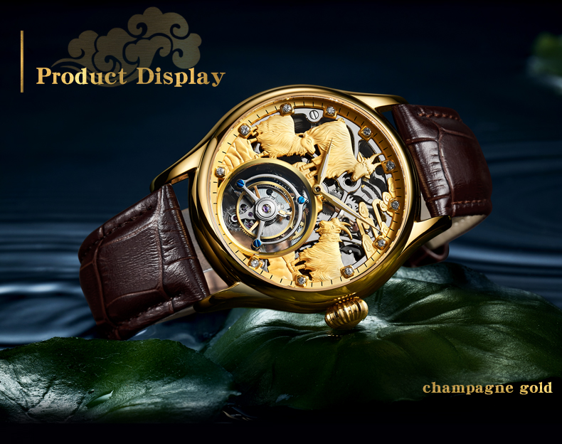 Zegarek mechaniczny AESOP (man – Zodiac Luxury Watch recenzja i cena
