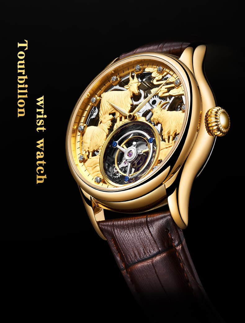 Zegarek mechaniczny AESOP (man – Zodiac Luxury Watch recenzja i cena